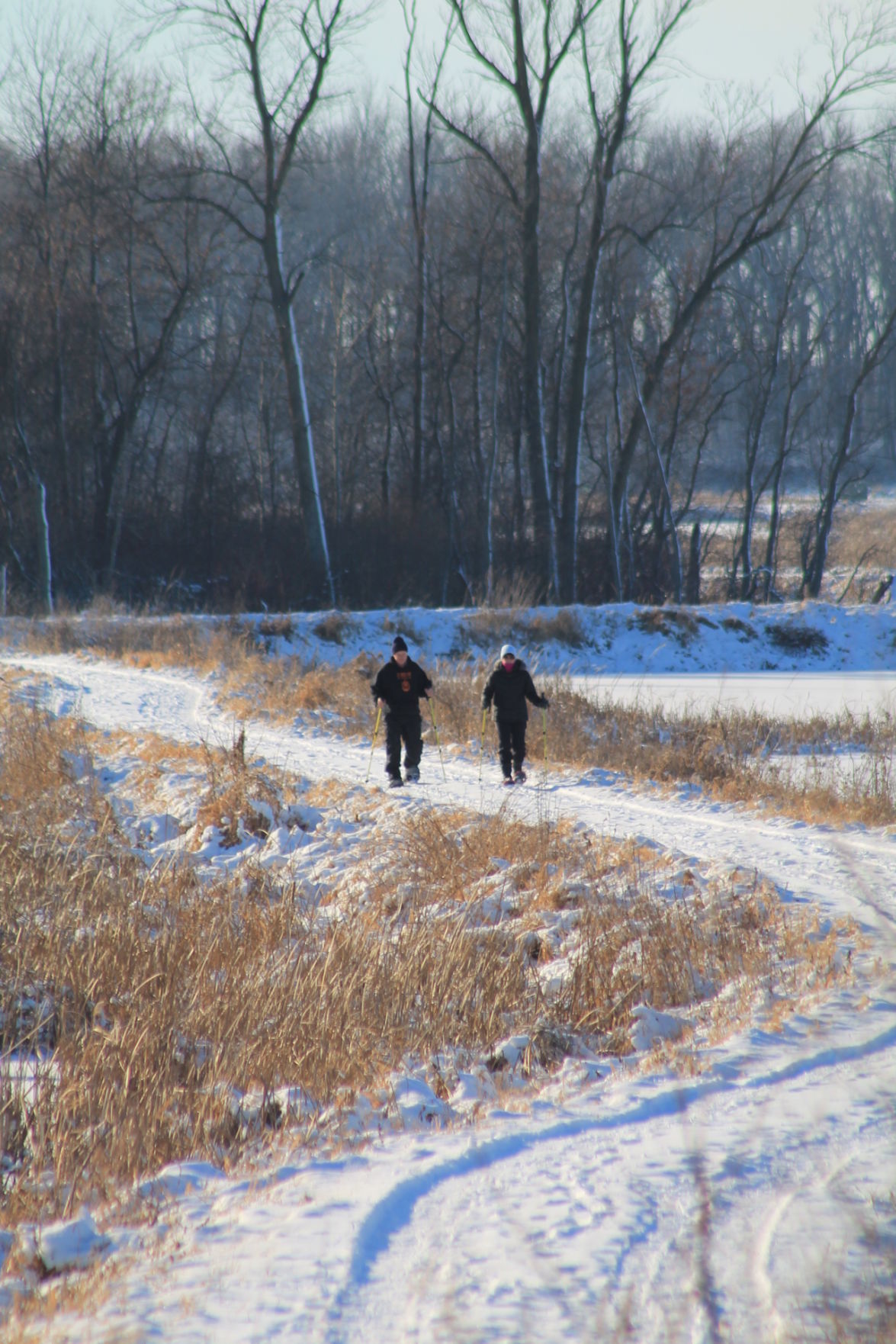 Snowshoeing